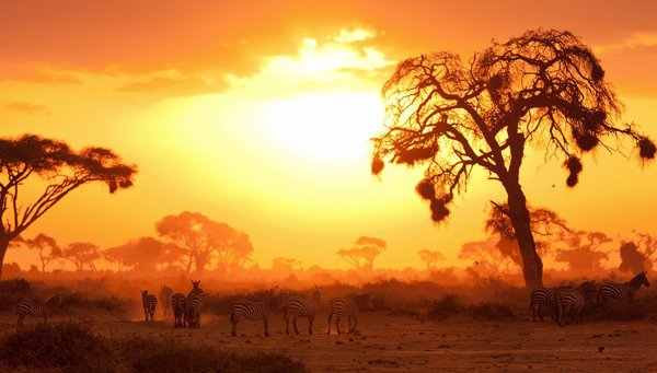 Masai Mara